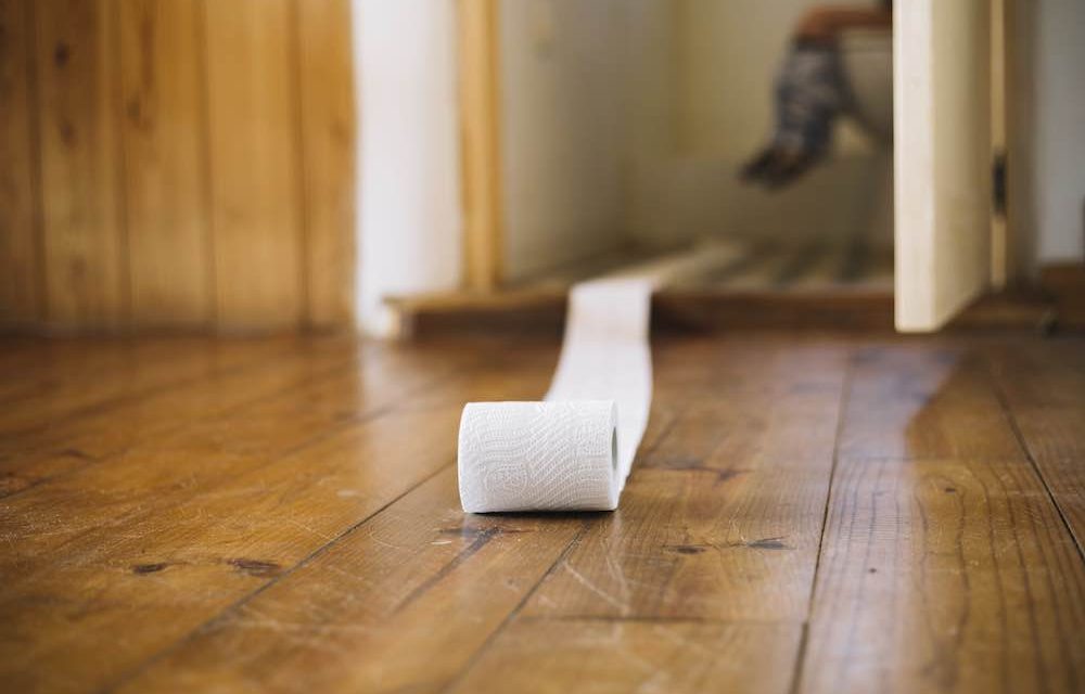 Journée mondiale des WC : les chiffres insolites