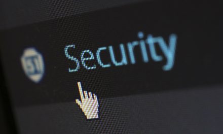 La sécurité “permanente” : un nouveau business web prometteur ?